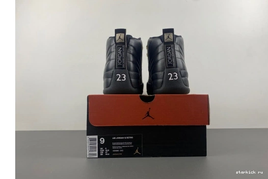 Master 130690-013  Jordan The  Retro  12 130690--013 1207